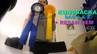 KUNGSBACKA DAG TVÅ amp TRE  RESAN HEM  VLOGG [upl. by Stempson]