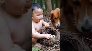 Baby and dog eat big snake eggs in birds nest [upl. by Opiuuk505]