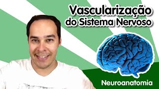 Neuroanatomia 11  Vascularização do Sistema Nervoso [upl. by Itaws]