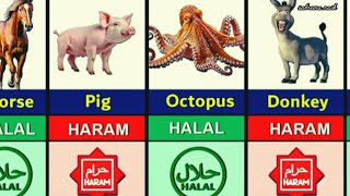 Halal and Haram Animal Meat in Islam [upl. by Russel]