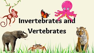 Invertebrates and Vertebrates  Class4  Animated Video [upl. by Aman]