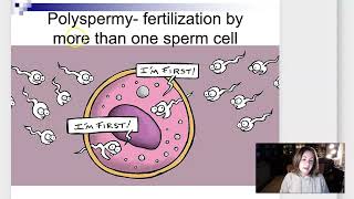 Week 3 Lecture Part 1 Fertilization and Implantation [upl. by Perni]