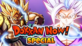 ✨Dokkan Now Livestream 9th Year Anniversary details amp More✨ [upl. by Anelak779]