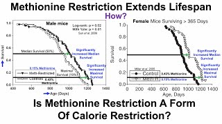 Methionine Restriction Extends Lifespan Roles For SCFAs And FGF21 But Not Calorie Restriction [upl. by Barina]