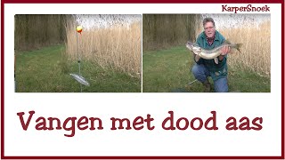 Vangen met DOOD AAS  snoek [upl. by Rodd]