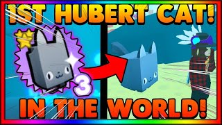 HOW TO GET HUBERT CAT PET SIMULATOR X RAREST PET [upl. by Cristie]