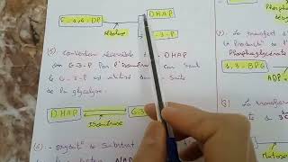 cour N°2 biochimie microbienne la glycolyse L3 [upl. by Adnoma202]