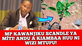 MP KAWANJIKU IN BIG SCANDLE YA MÎTÎ😭😭 NA AYA NÎO MARAUGÃ GACHAGUA AINUKE😭 [upl. by Lindblad605]