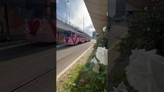 Tramvaiul V3A93M2000 349 sosind în stația “Calea Plevnei” pe Linia 11 [upl. by Maillw]