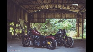 Harley Davidson Sportster IRON 883 [upl. by Frankhouse790]