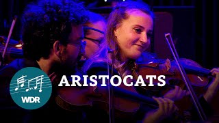 Aristocats Everybody wants to be a cat  WDR Funkhausorchester [upl. by Fisk]