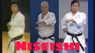 Niseishi Kata  Performed By Each Traditional Karate Style [upl. by Carolina]