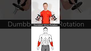 Dumbbell Wrist Rotation  Forearm Exercises Supination amp Pronation [upl. by Kendall75]