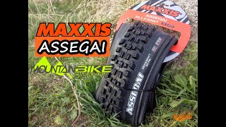 Cubierta MAXXIS ASSEGAI ⚙️  Evolución de la especie  LIVING ENDURO MTB [upl. by Anastasie]