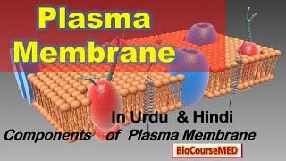 Plasma Membrane Membrane Proteins and Transportation In Urdu and Hindi MUST Read Description [upl. by Lawan]