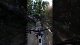 Loving the wooden ramps and bridges on this trail mtb mountainbike mountainbiking aribikes [upl. by Latrena]