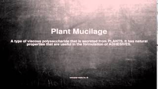 Medical vocabulary What does Plant Mucilage mean [upl. by Lenhart252]