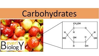 Carbohydrates regular biology [upl. by Winthrop]