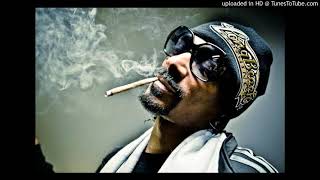 Snoop Dogg  Roaches In My Ashtray feat ProHoeZak Official Music Audio [upl. by Mollie]