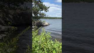 Sunlit Serenity on Lake Kabetogama amp Ash River  Voyageurs National Park [upl. by Roselani]