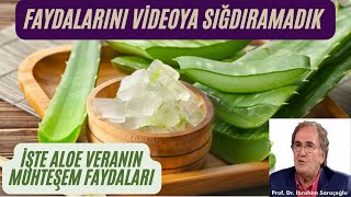 ALOE VERANIN FAYDALARIALOE VERA JELİ FAYDALARIALOE VERANIN CİLDE FAYDALARIALOE VERANIN ZARARLARI [upl. by Tynan366]