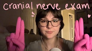 asmr  cranial nerve exam [upl. by Maurey510]