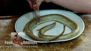 Remy Eats Rattlesnake Food Oddities  wwwfoododditiescom [upl. by Tade]