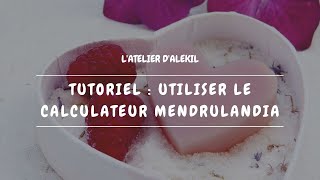 🧼 Tutoriel utiliser le calculateur Mendrulandia pour la saponification à froid [upl. by Ameehs]