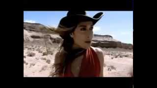 Anna Vissi  Alitissa Psixi Official Video [upl. by Meagan]