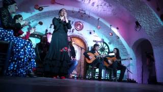 Flamenco Show in a Granada Cave [upl. by Sel918]