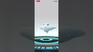 Pokémon 寶可夢 波克基古 進化 波克基斯 トゲチック Togetic evolution Togekiss [upl. by Parlin220]