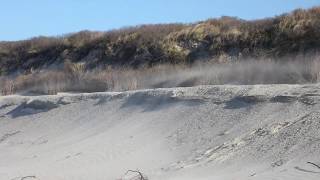 Langeoog 28032020  vor dem Pirolatal [upl. by Annovaj205]