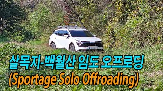 스포티지 오프로드 살목지백월산 임도 KIA Sportage Offroad [upl. by Azpurua]