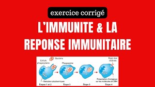 exercice résolu sur limmunité et la réponse immunitaire [upl. by Kung721]