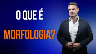 ✅ O que é MORFOLOGIA ✅ [upl. by Nixon]