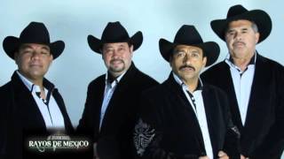 Los Gemelos De Sinaloa  Tuve Hermano Official Video [upl. by Aiciruam]