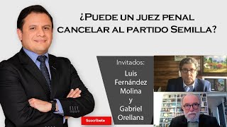 328 Luis Fernández Molina y Gabriel Orellana ¿Puede un juez penal cancelar al partido Semilla [upl. by Enutrof784]