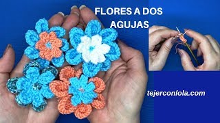 🌺 FLORES tejidas  a DOS AGUJAS 🌺 [upl. by Onit]