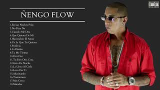 Ñengo Flow  Mix Sus Mejores Exitos [upl. by Derr634]