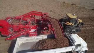 Potato Harvest in the San Luis Valley 2016 [upl. by Johns]