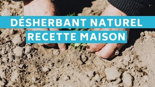 Désherbant naturel recette maison et efficace [upl. by Adina]