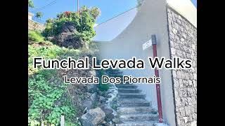 Levada Walks in Funchal Levada Dos Piornais [upl. by Yejus366]