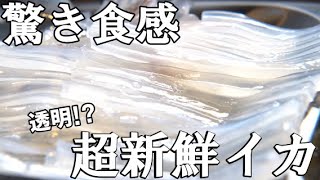 【函館グルメ】函館朝市でイカ釣り体験！他では味わえない新鮮さに驚き！｜函館観光｜Vlog [upl. by Alfonse]