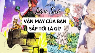 VẬN MAY CỦA BẠN SẮP TỚI LÀ GÌ Lâm Sao Tarot đang phát trực tiếp [upl. by Lavena]