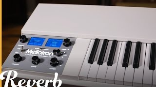 Mellotron M4000D Mini  Reverb Demo Video [upl. by Shoshana922]