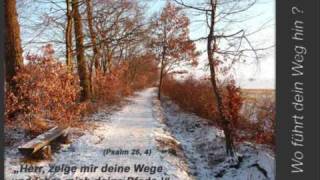 Andrea FreyFreiheit der Kinder Gottes HQ with Lyrics [upl. by Soiritos]