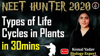 Types of Life Cycles in Plants  Plant Kingdom Class 11  NEET Biology  NEET 2020 Preparation [upl. by Trevor]