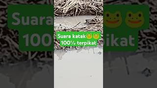 100 suara kataksuarakatak [upl. by Firahs]