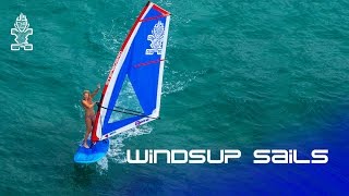 2017 Starboard WindSUP Sails [upl. by Ateiluj417]