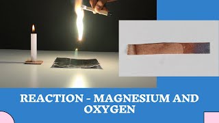 Reaction  Magnesium and Oxygen  ThinkTac  Science Experiment [upl. by Akienahs]